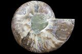 Agatized Ammonite Fossil (Half) - Gorgeous Preservation #78592-1